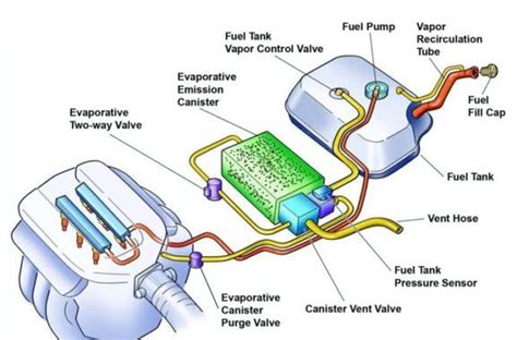 evap system check engine light